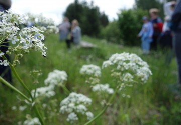 Atklāta Trejdeviņu sajūtu sala - Kaldabruņa