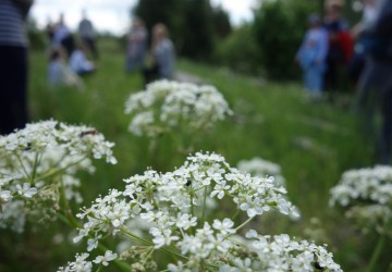 Atklāta Trejdeviņu sajūtu sala - Kaldabruņa