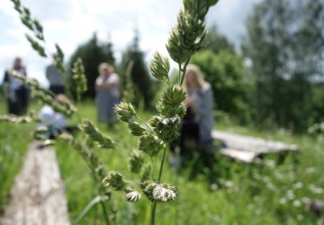 Atklāta Trejdeviņu sajūtu sala - Kaldabruņa