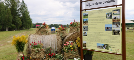 Kvalitatīva reklāma Mīļdzīvnieku biedrības darbības popularizēšanai